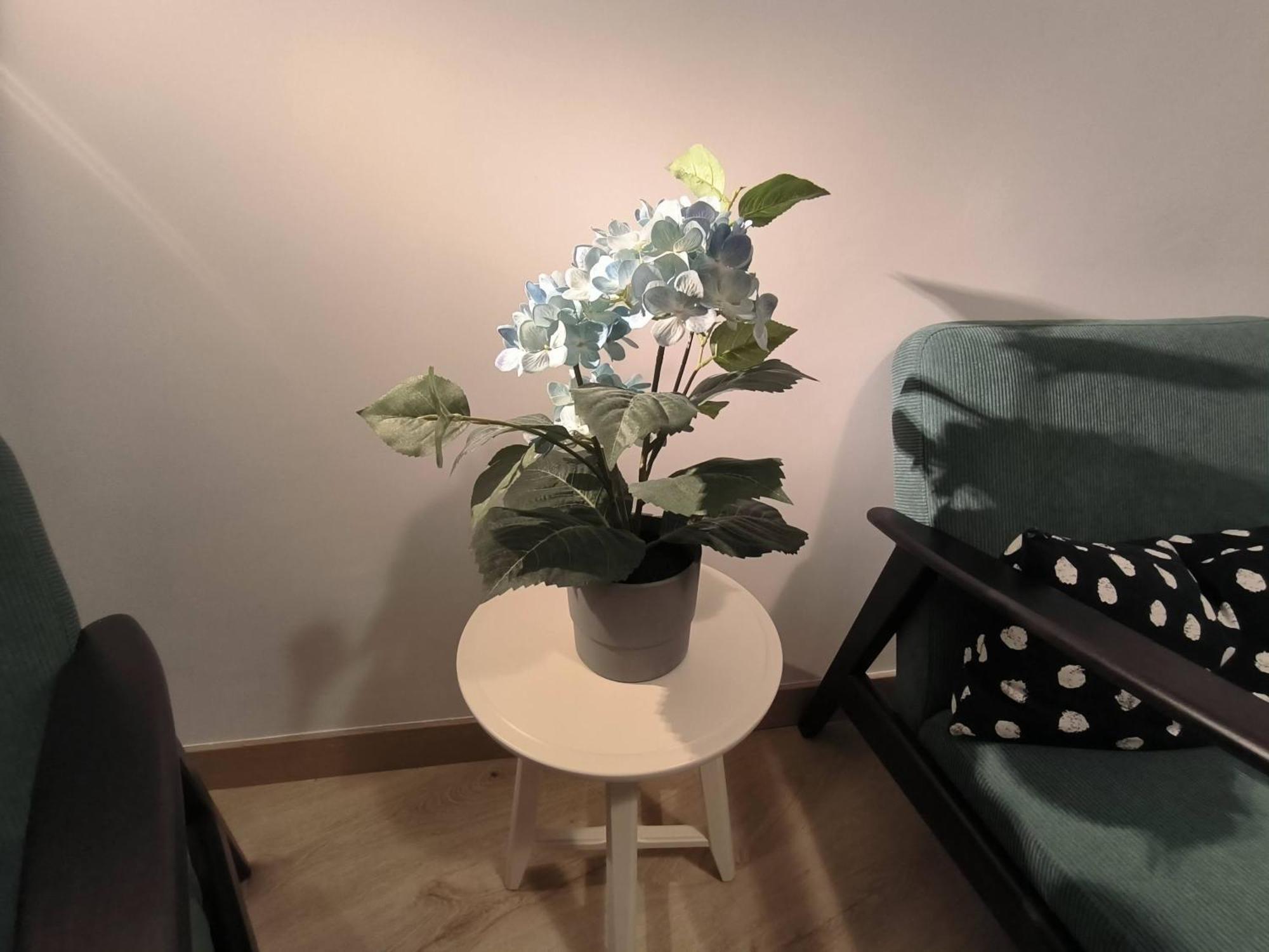 Apartamento Zabala Conoce Bilbao Desde Dentro Bilbau Exterior foto